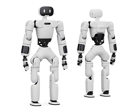 人形機(jī)器人密封件